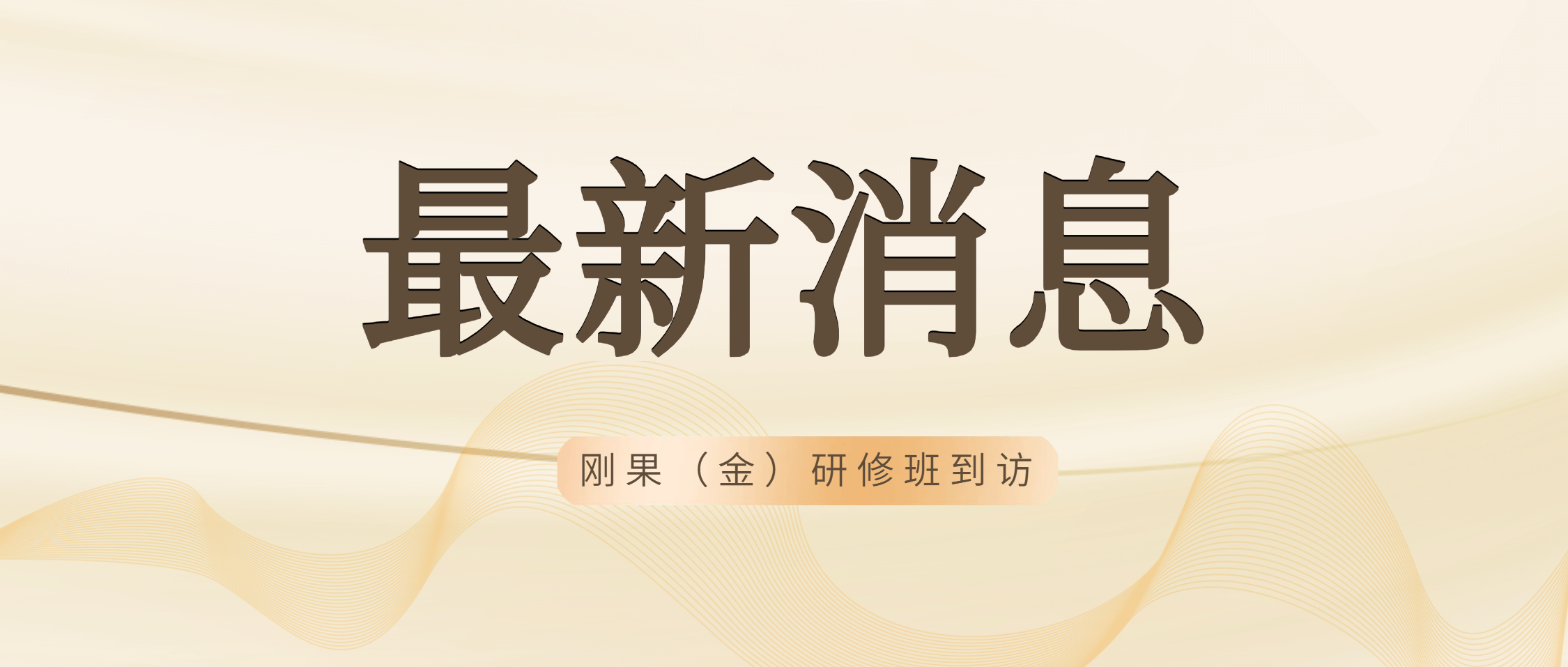 刚果（金）矿产开发与管理研修班到访银河8366cc集团 共绘矿业合作美好未来